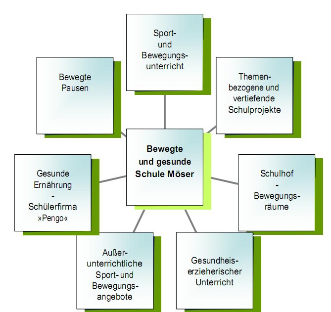 bewschuleorganigramm.jpg